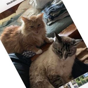 Meet your Posher, Mark